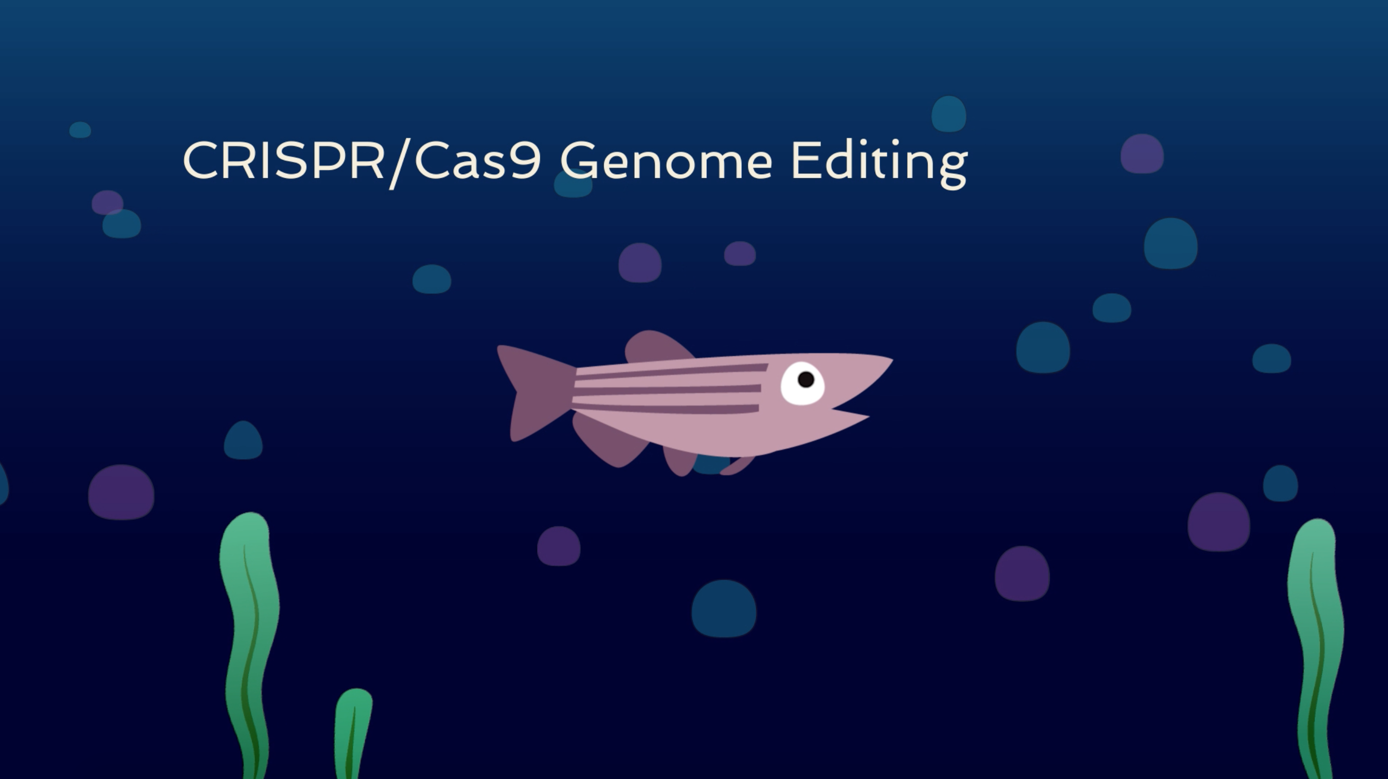 Crispr / Cas9 Genome Editing – HSUN CHIU
